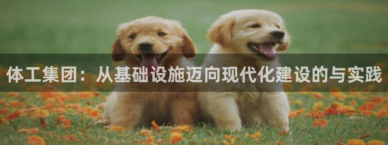 意昂4集团官网网址：体工集团：从基础设施迈向现代化建