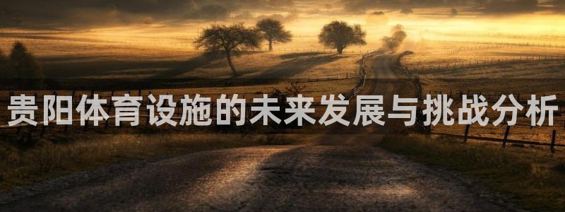 意昂体育4：贵阳体育设施的未来发展与挑战分析