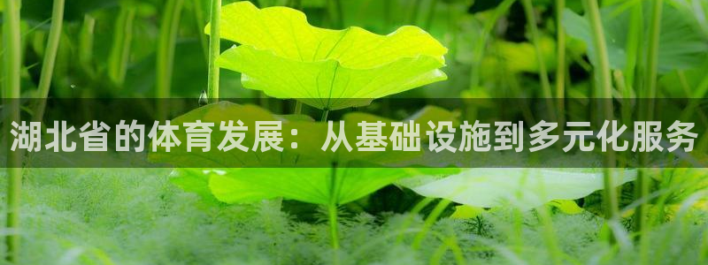 德国意昂4集团：湖北省的体育发展：从基础设施到多元化