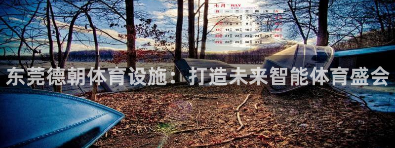 注册意昂4：东莞德朝体育设施：打造未来智能体育盛会