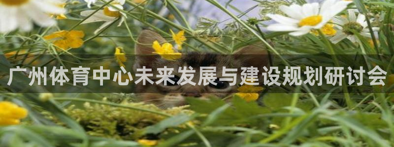 意昂体育4平台APP：广州体育中心未来发展与建设规划