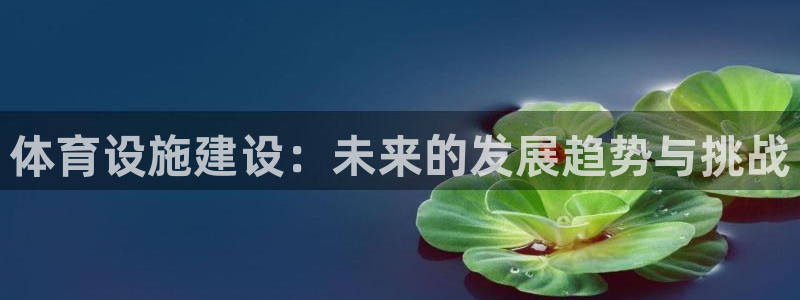 意昂4娱乐代理怎么样：体育设施建设：未来的发展趋势与