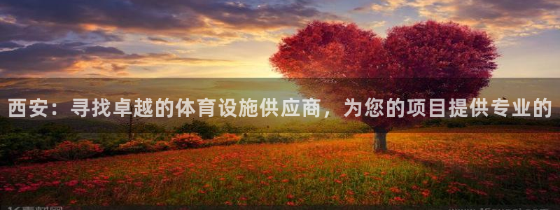 意昂体育4平台注册流程图：西安：寻找卓越的体育设施供