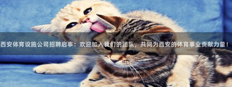 意昂4娱乐代理怎么样：西安体育设施公司招聘启事：欢迎