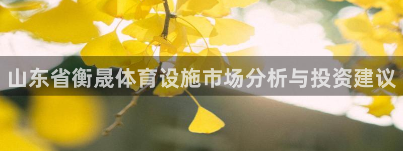 意昂体育4平台是正规平台吗知乎：山东省衡晟体育设施市