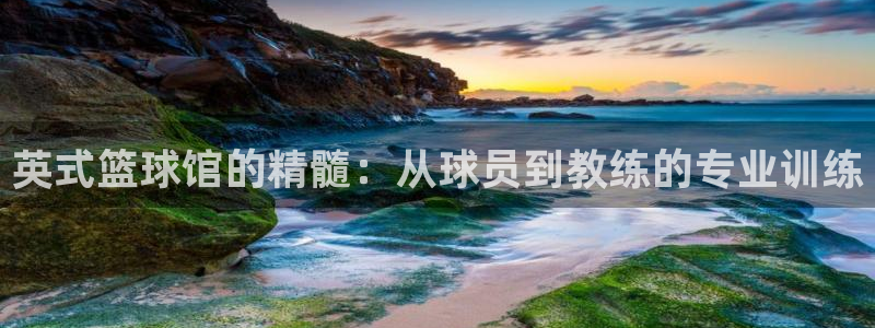 意昂4开户：英式篮球馆的精髓：从球员到教练的专业训练