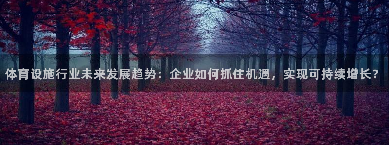 意昂4官方：体育设施行业未来发展趋势：企业如何抓住机