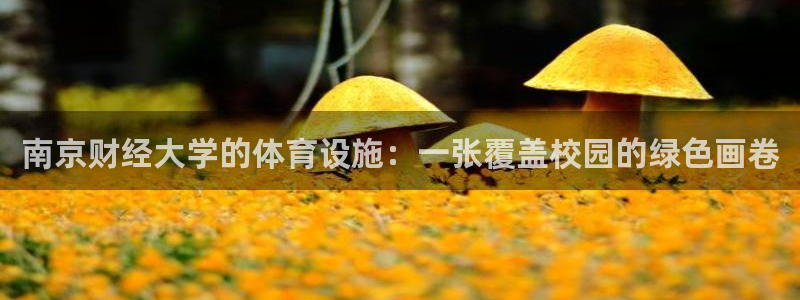 意昂4娱乐首页网站大全