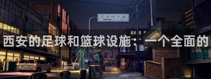 意昂4娱乐：西安的足球和篮球设施：一个全面的