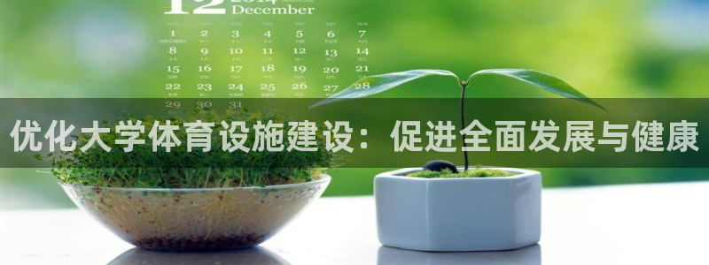 德国意昂4集团：优化大学体育设施建设：促进全面发展与