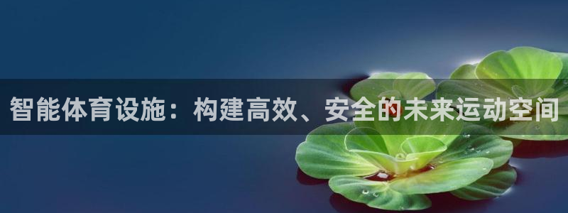 意昂体育4平台注册要钱吗：智能体育设施：构建高效、安