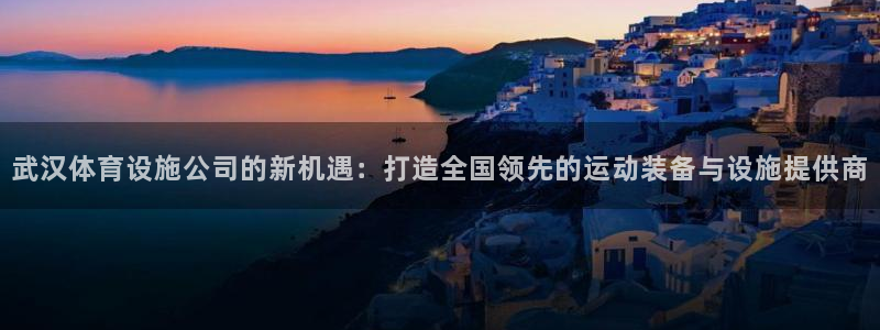 意昂体育4平台注册要钱吗安全吗：武汉体育设施公司的新机遇：打