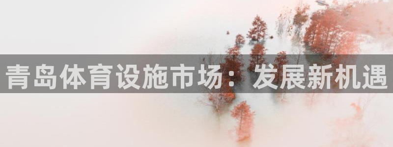 意昂4娱乐：青岛体育设施市场：发展新机遇