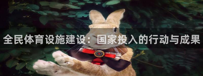 意昂4集团官网网址：全民体育设施建设：国家投入的行动
