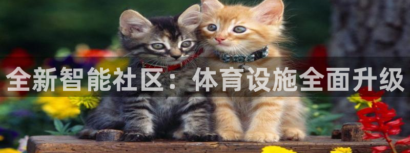 意昂体育4招商电话号码：全新智能社区：体育设施全面升