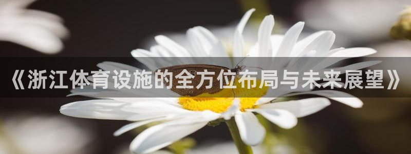 意昂体育4开户：《浙江体育设施的全方位布局与未来展望