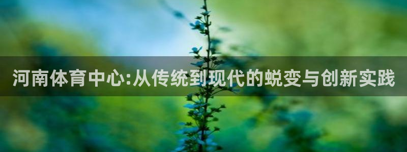 意昂4娱乐40996：河南体育中心:从传统到现代的蜕