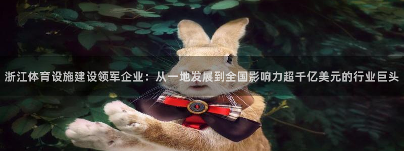 意昂4娱乐首页官网下载：浙江体育设施建设领军企业：从一地发展
