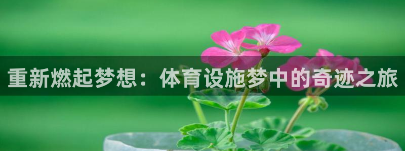 意昂4官网：重新燃起梦想：体育设施梦中的奇迹之旅