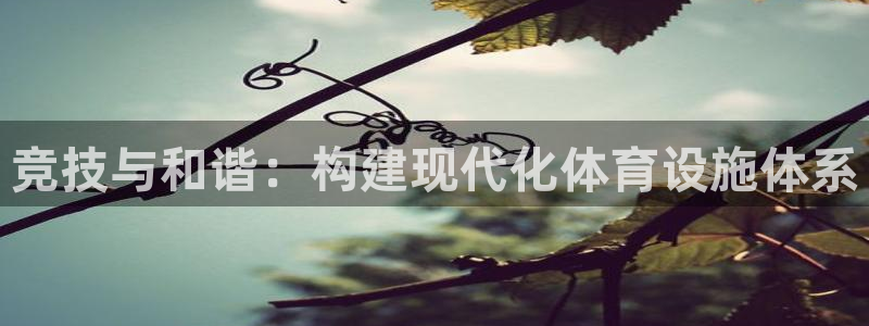 意昂体育4平台是正规平台吗安全吗：竞技与和谐：构建现代化体育 