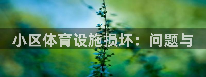意昂体育4注册：小区体育设施损坏：问题与