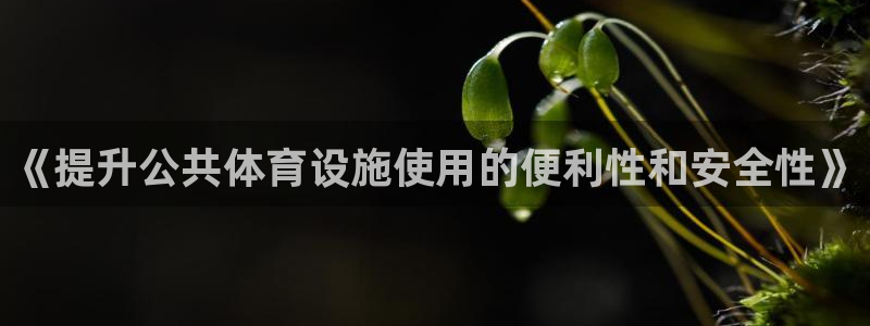 意昂4娱乐代理怎么样：《提升公共体育设施使用的便利性和安全性