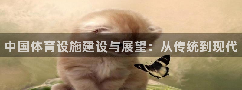 意昂体育4招商：中国体育设施建设与展望：从传统到现代 