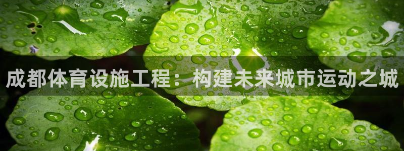意昂4娱乐下载：成都体育设施工程：构建未来城市运动之城 