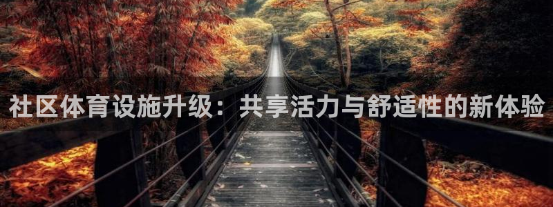 意昂体育4招商电话地址是多少：社区体育设施升级：共享活力与舒
