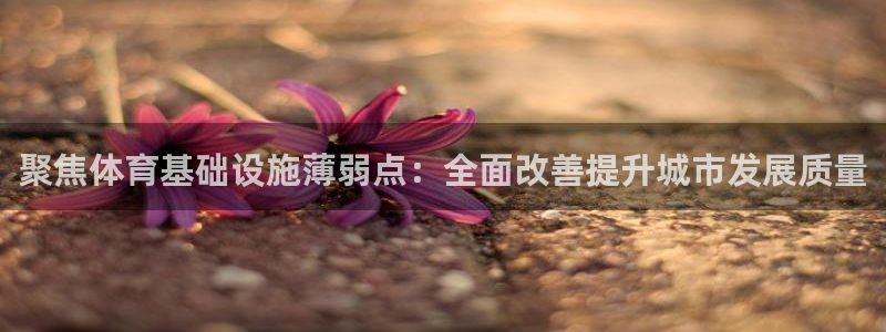 海南意昂体育4发展怎么样：聚焦体育基础设施薄弱点：全