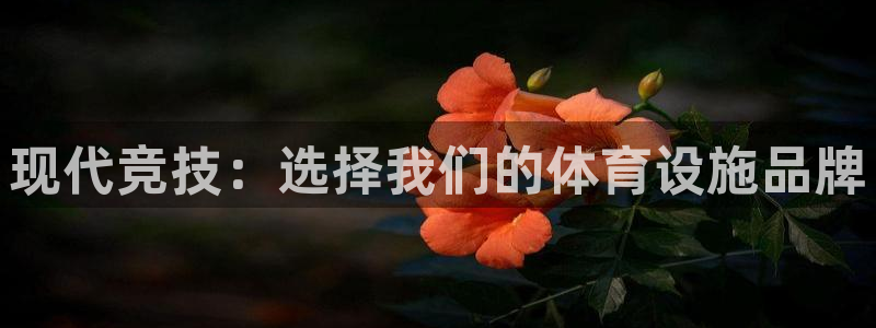 意昂4娱乐网站：现代竞技：选择我们的体育设施品牌