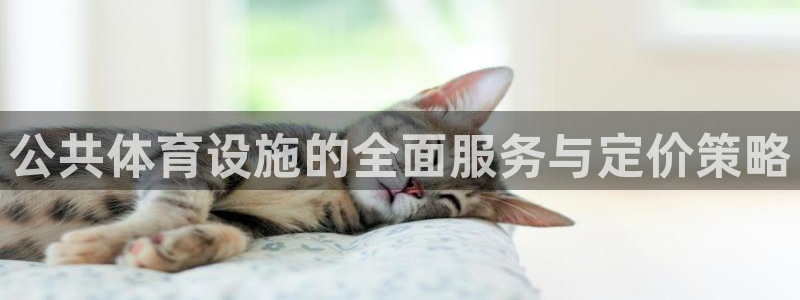 意昂4集团E.ON：公共体育设施的全面服务与定价策略