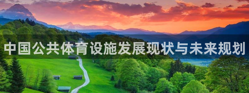 海南意昂体育4发展怎么样：中国公共体育设施发展现状与