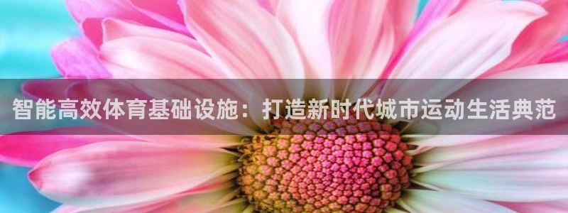 意昂体育4软件：智能高效体育基础设施：打造新时代城市