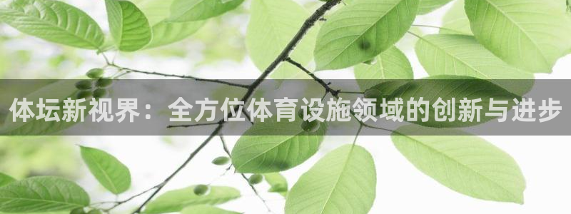 意昂体育4平台注册：体坛新视界：全方位体育设施领域的