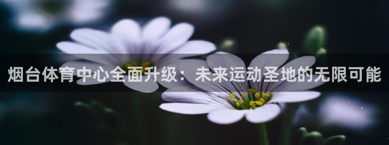 海南意昂体育4发展怎么样：烟台体育中心全面升级：未来