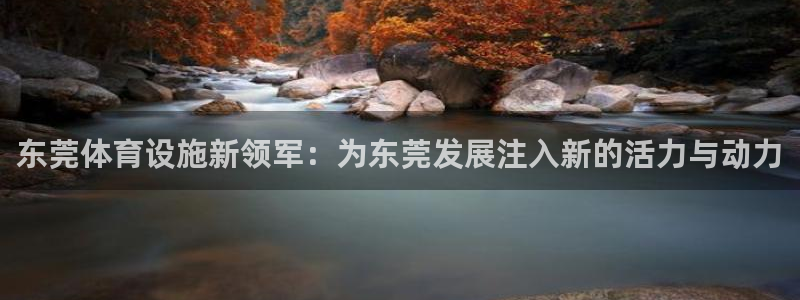 意昂4娱乐代理怎么样：东莞体育设施新领军：为东莞发展