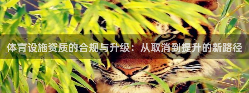 意昂体育4平台是正规平台吗安全吗：体育设施资质的合规与升级：