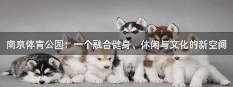 意昂4娱乐下载：南京体育公园：一个融合健身、休闲与文