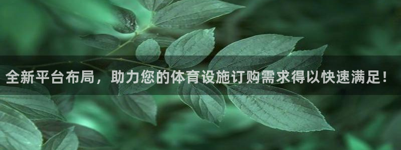 意昂4集团简介：全新平台布局，助力您的体育设施订购需求得以快