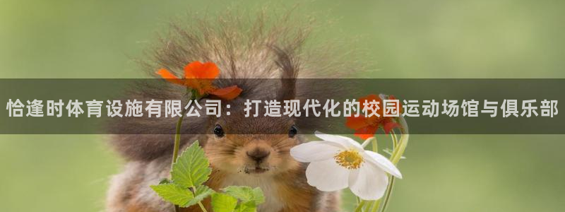 意昂4集团官网首页：恰逢时体育设施有限公司：打造现代