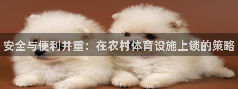 意昂4娱乐网站：安全与便利并重：在农村体育设施上锁的