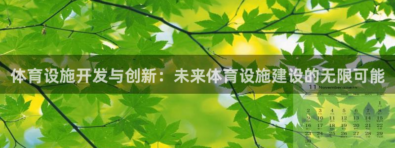 意昂4娱乐网站：体育设施开发与创新：未来体育设施建设