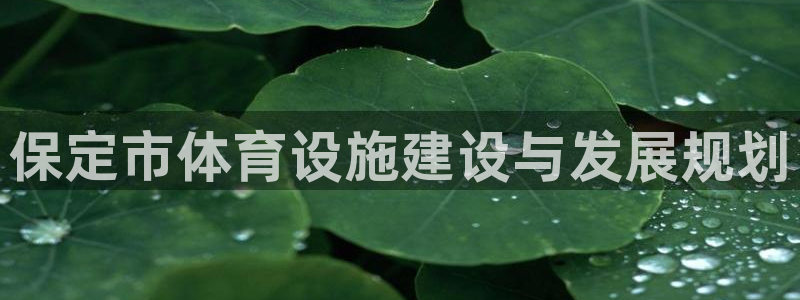 意昂体育4招商电话：保定市体育设施建设与发展规划