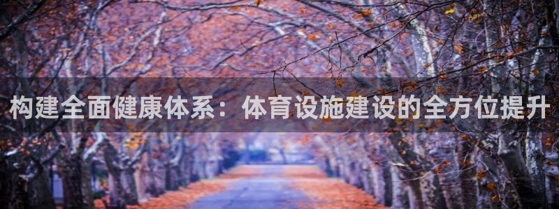 意昂体育4软件：构建全面健康体系：体育设施建设的全方
