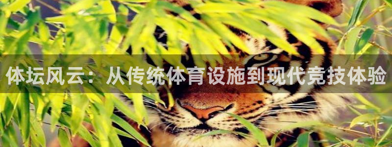 意昂4娱乐网站：体坛风云：从传统体育设施到现代竞技体