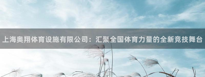 德国意昂4集团：上海奥翔体育设施有限公司：汇聚全国体