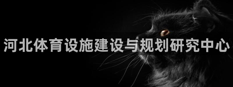 意昂集团官网：河北体育设施建设与规划研究中心
