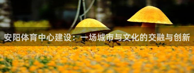 意昂4集团E.ON：安阳体育中心建设：一场城市与文化