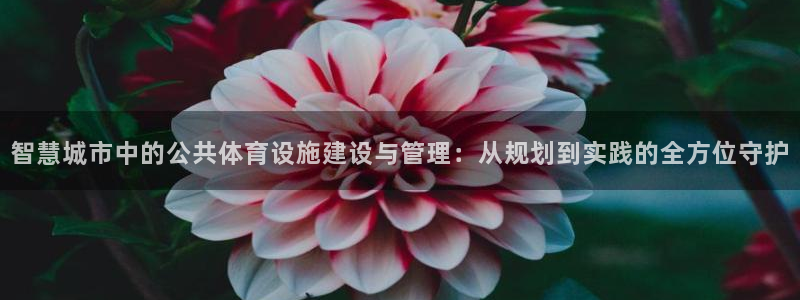意昂体育4平台是正规平台吗：智慧城市中的公共体育设施